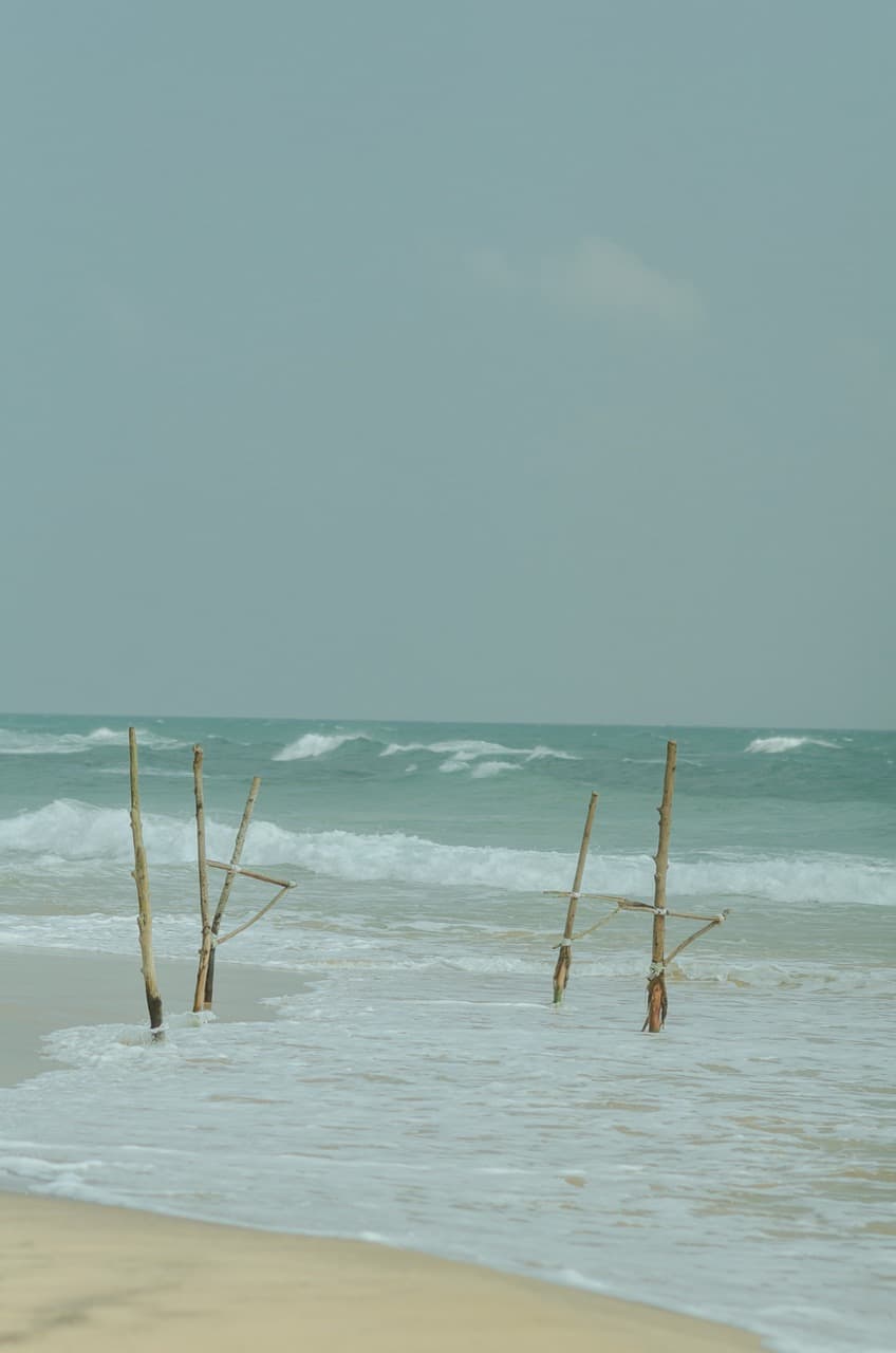 Превью Sri Lanka 2022